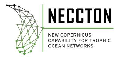NECCTON Logo