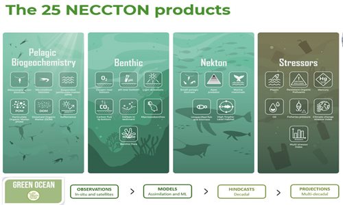 neccton products